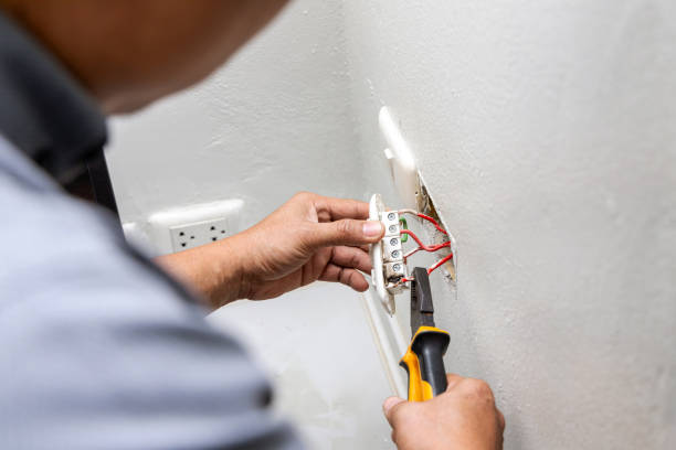 Best Electric Panel Repair  in Greenville, NY